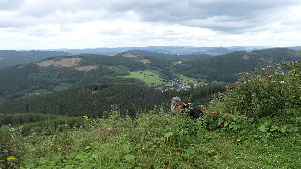 Oberhundemer Bergtour