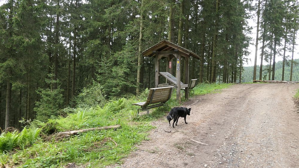 Oberhundemer Bergtour