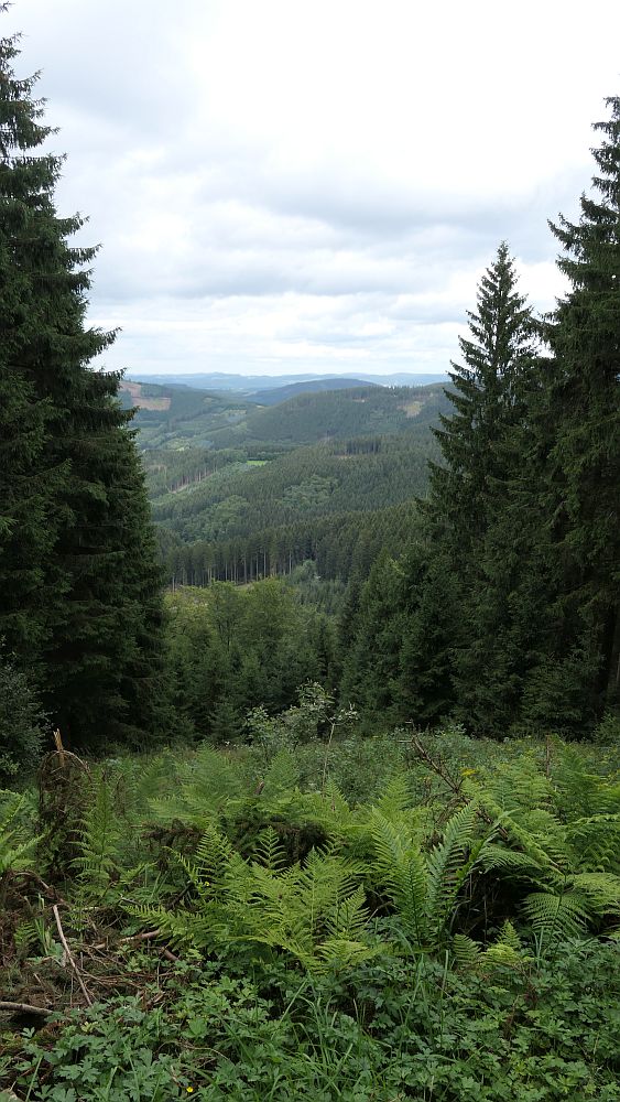 Oberhundemer Bergtour