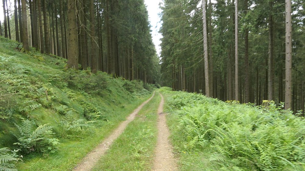 Oberhundemer Bergtour