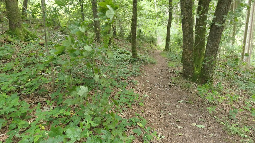 Oberhundemer Bergtour