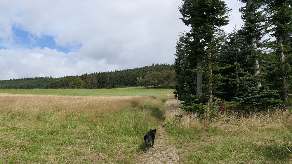 Oberhundemer Bergtour