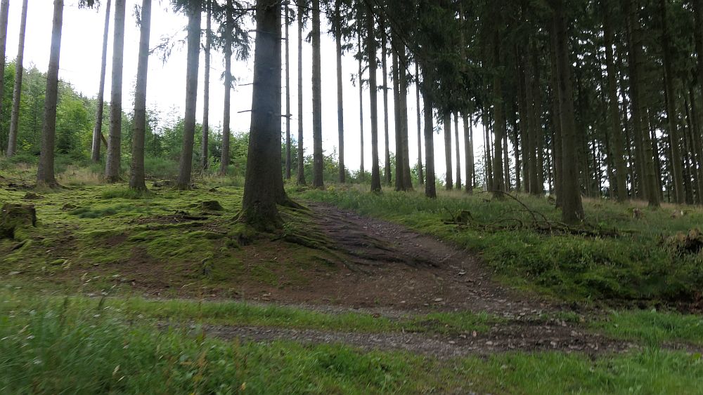Oberhundemer Bergtour