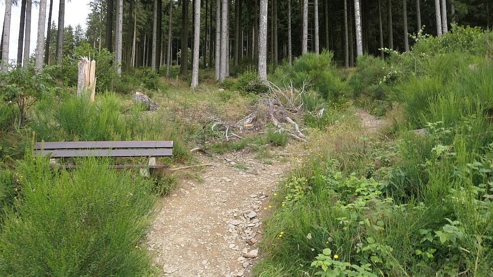 Oberhundemer Bergtour
