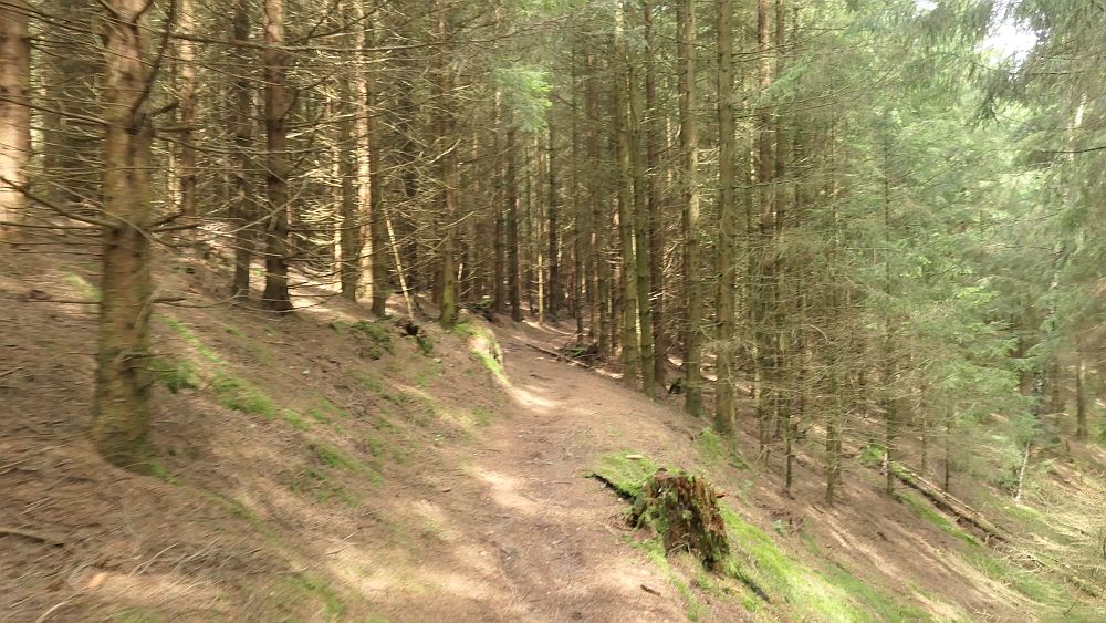 Oberhundemer Bergtour