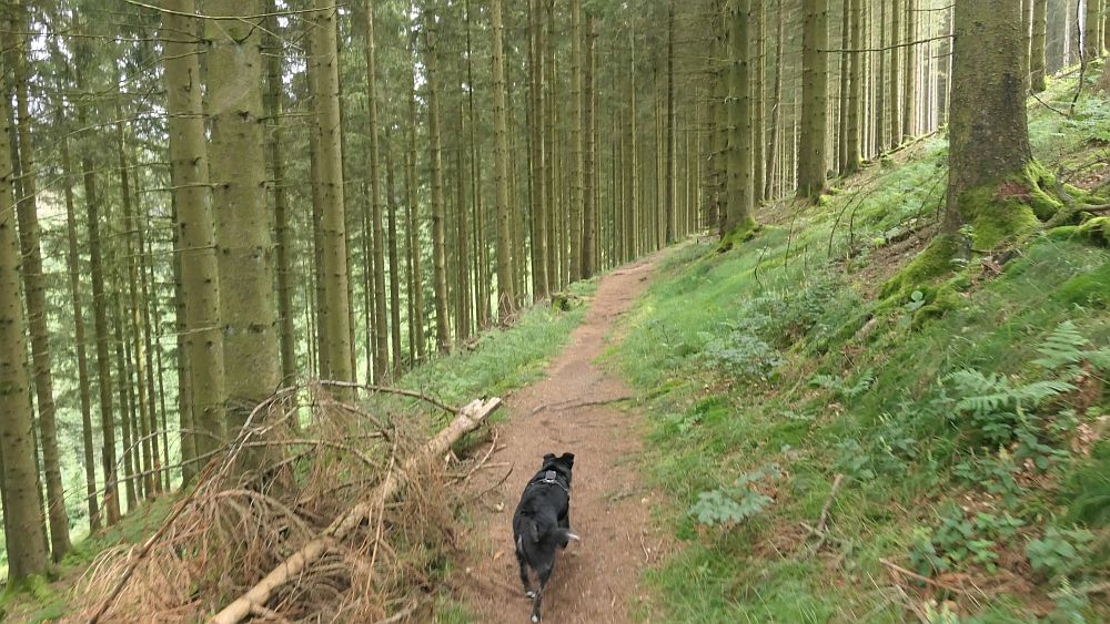 Oberhundemer Bergtour