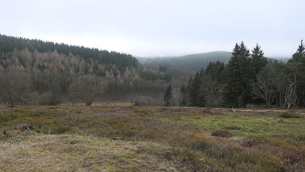 Blick ins Land Kalte Pön