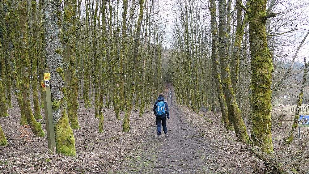 Blick ins Land Kalte Pön