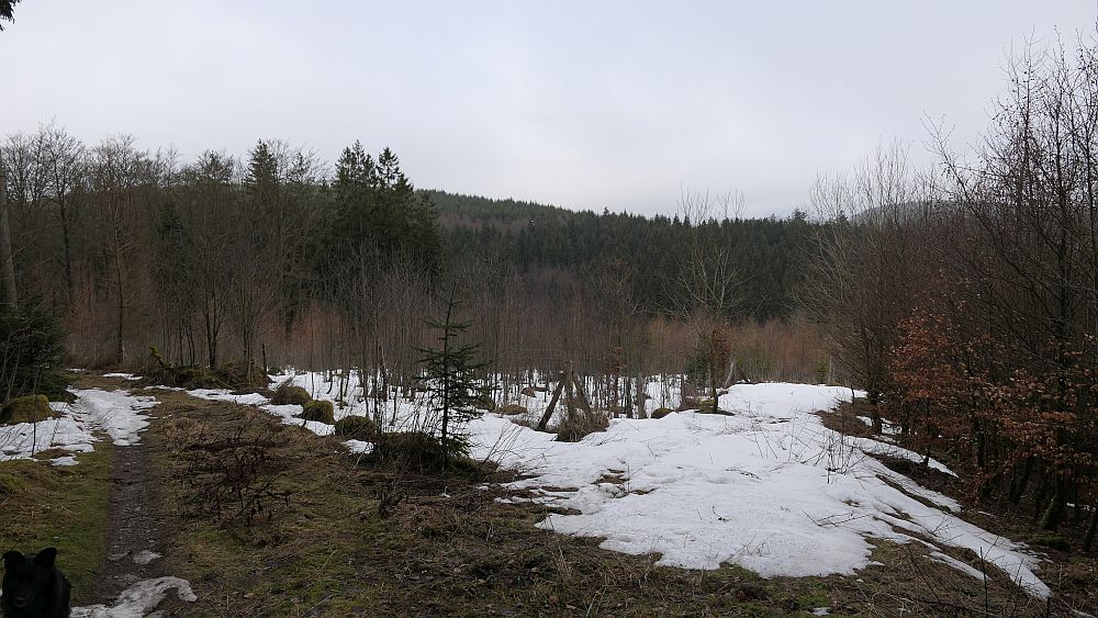 Blick ins Land Kalte Pön
