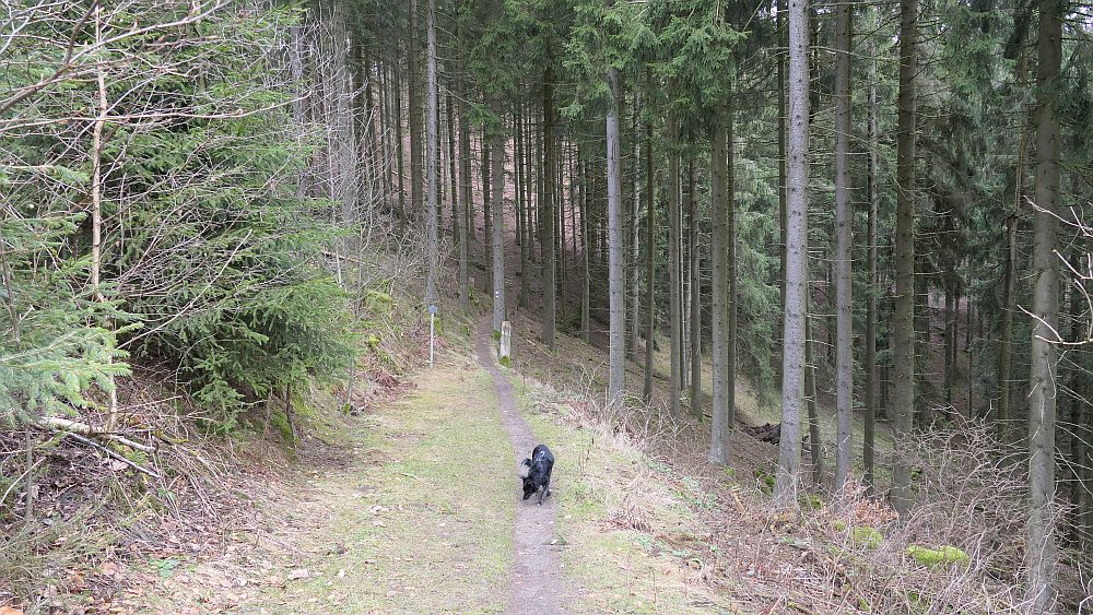 Blick ins Land Kalte Pön