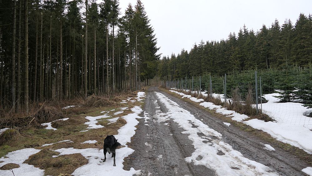 Blick ins Land Kalte Pön