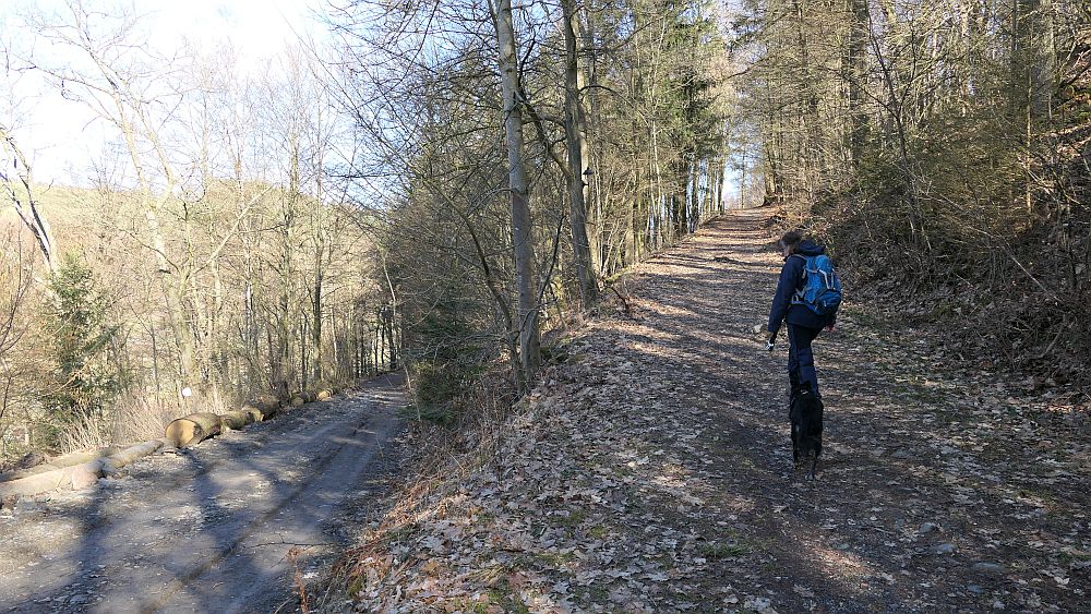 Sorper Panoramapfad