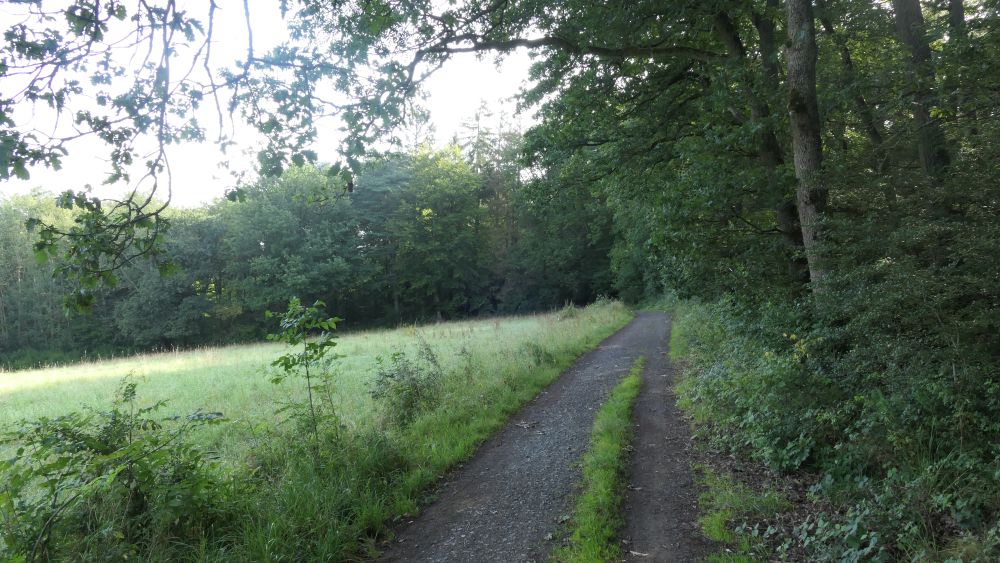 Wacholderweg