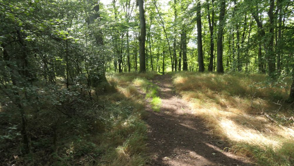 Wacholderweg