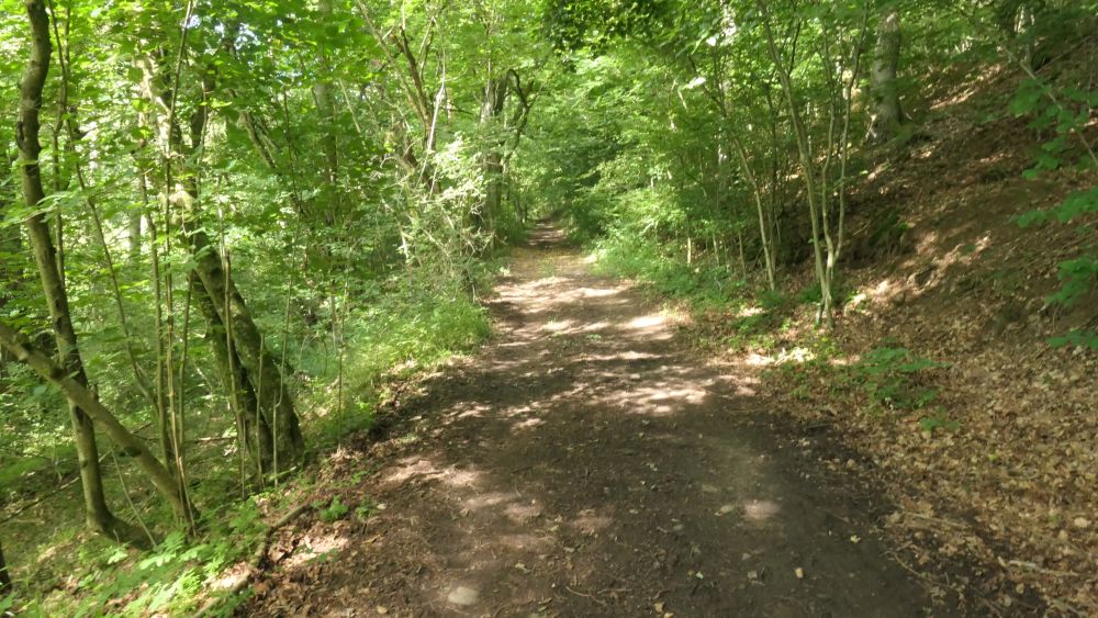 Wacholderweg