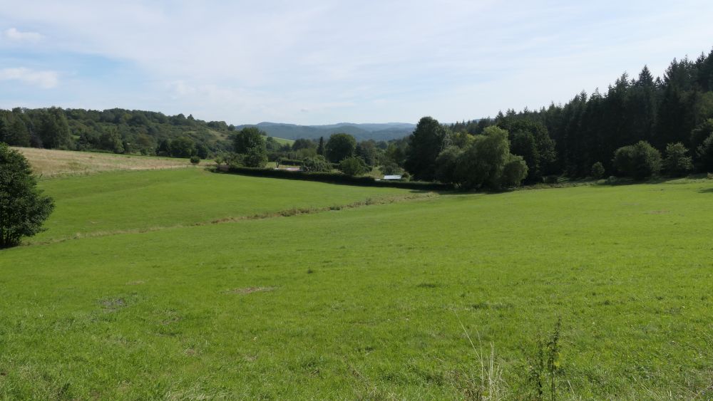Wacholderweg