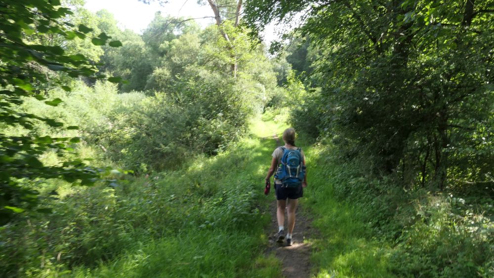 Wacholderweg