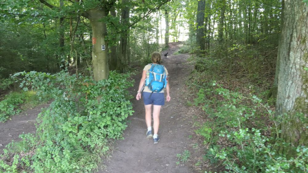 Wacholderweg