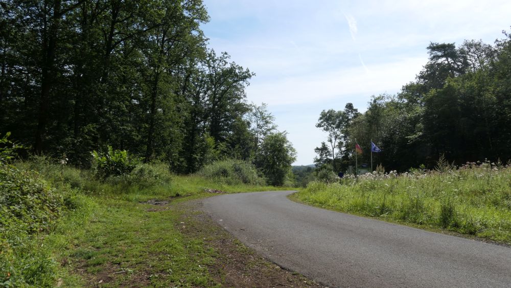 Wacholderweg