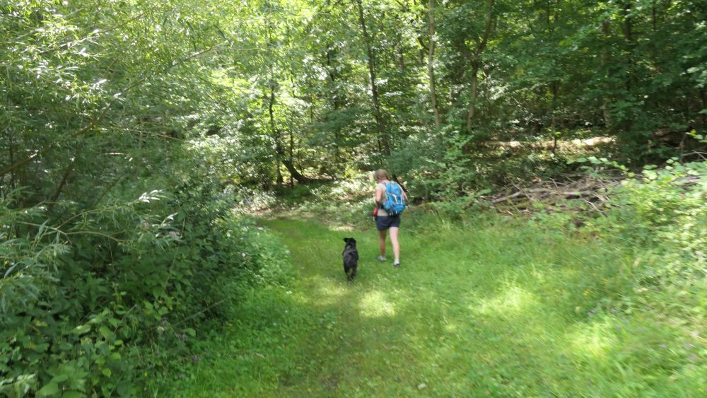 Wacholderweg