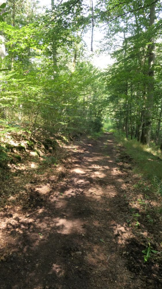 Wacholderweg