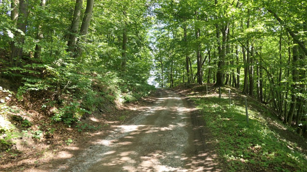Wacholderweg