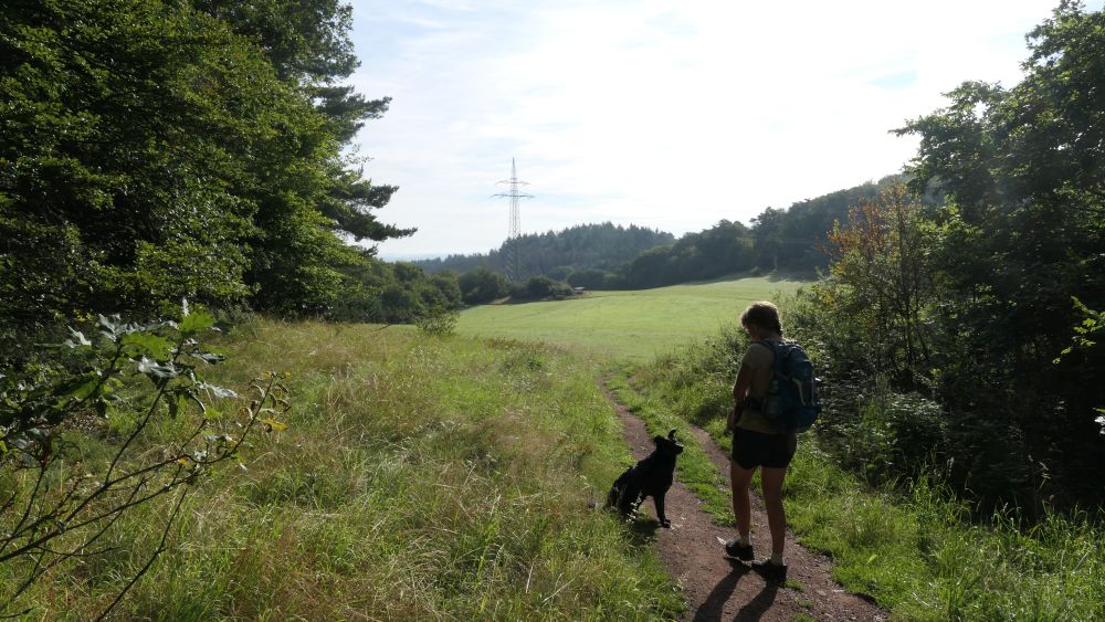 Wacholderweg
