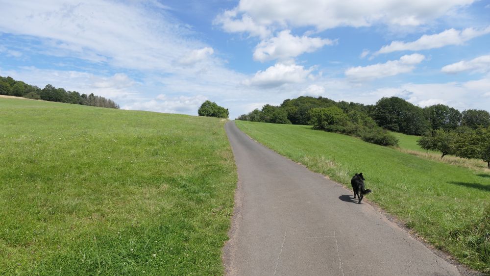Wacholderweg