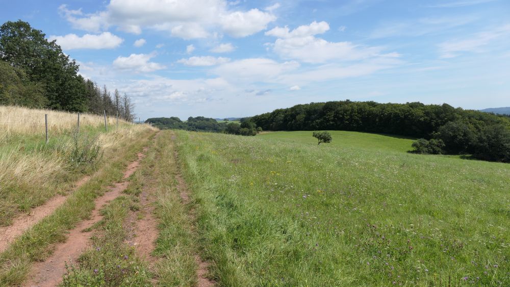 Wacholderweg