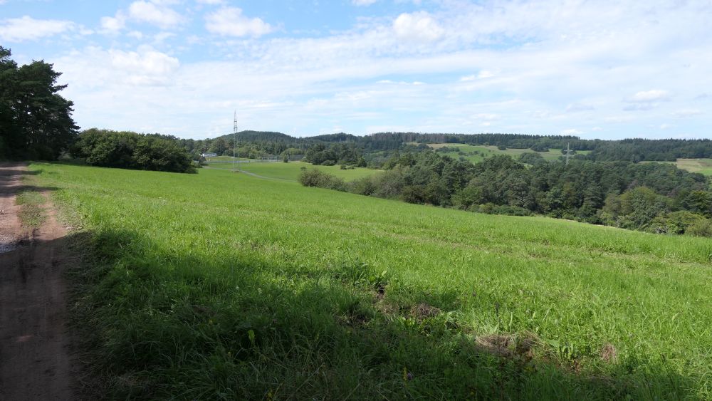 Wacholderweg