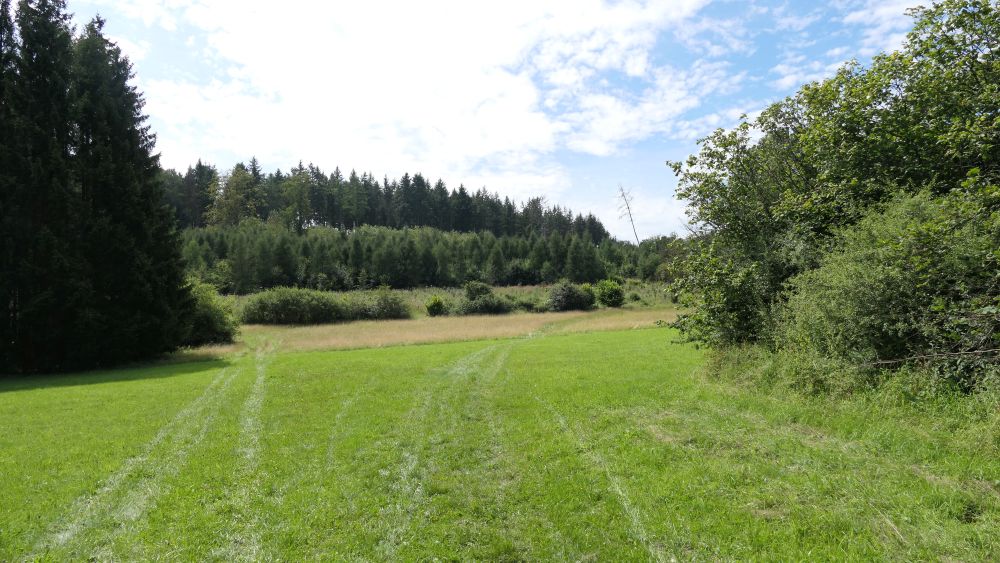 Wacholderweg