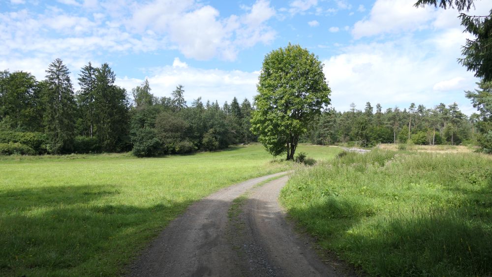 Wacholderweg