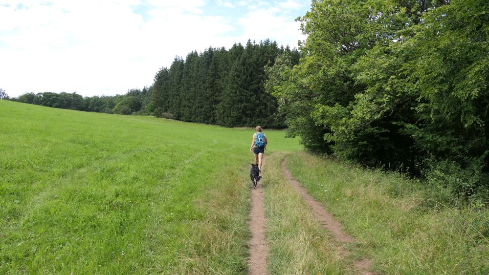 Wacholderweg