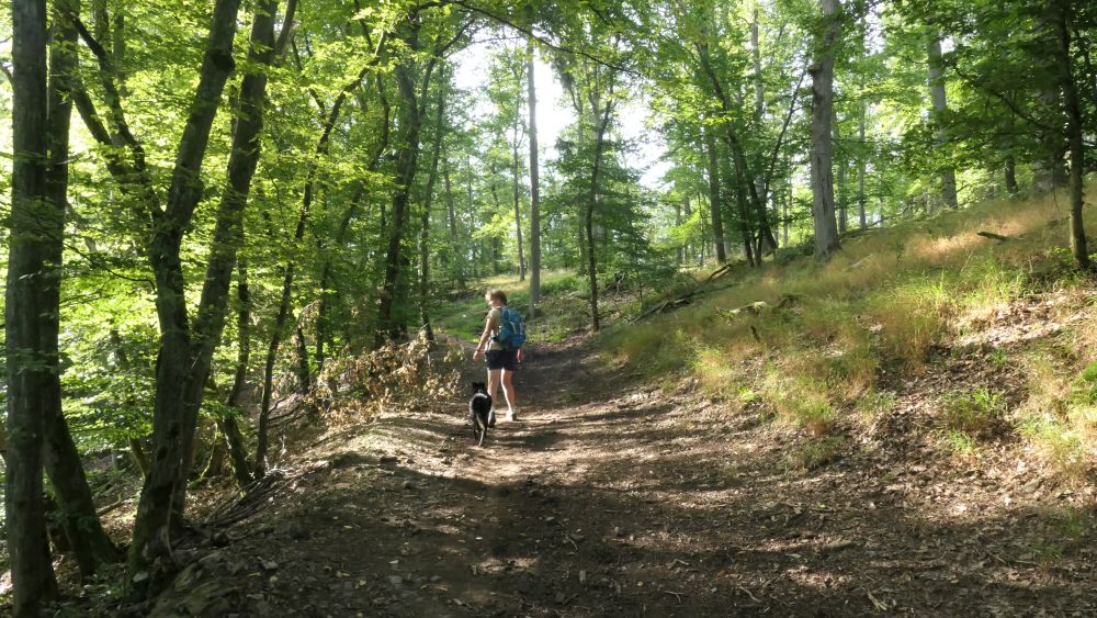 Wacholderweg