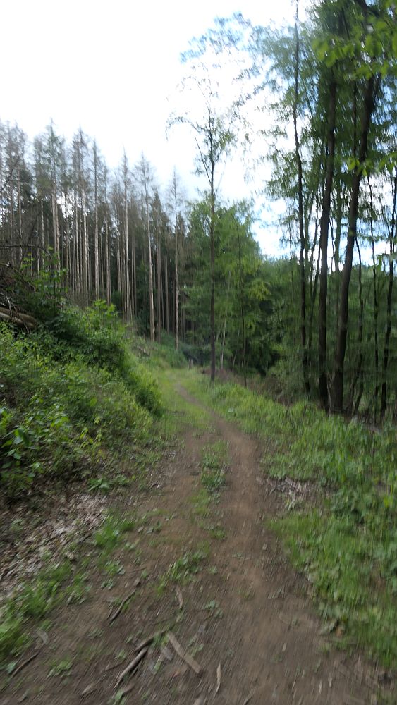 Westerwaldvariante