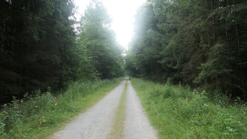 Westerwaldvariante