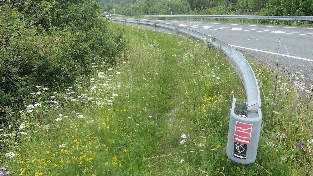 Westerwaldvariante