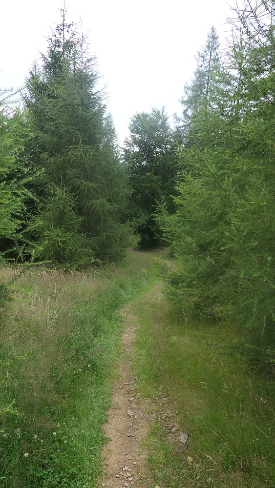 Westerwaldvariante