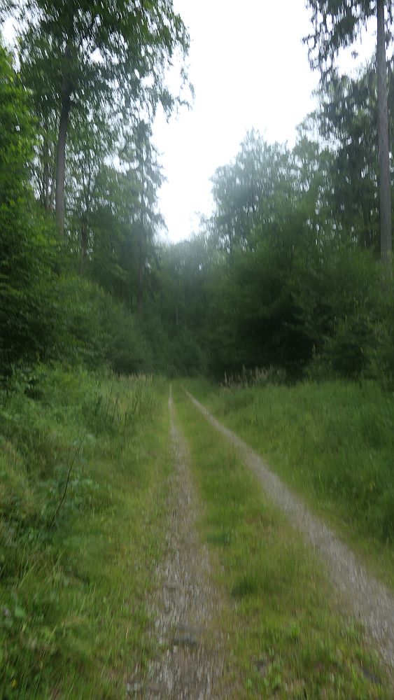 Westerwaldvariante