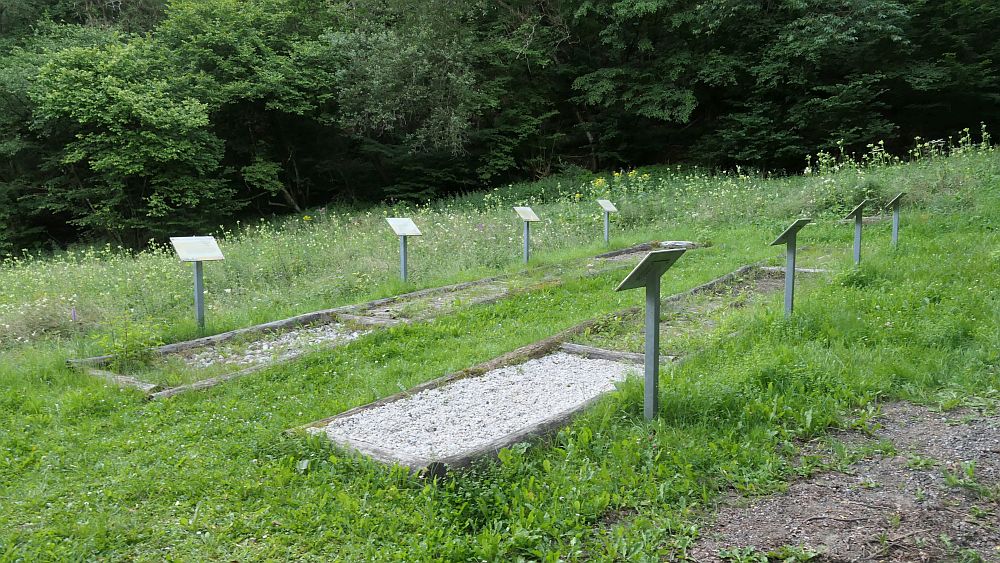 Westerwaldvariante