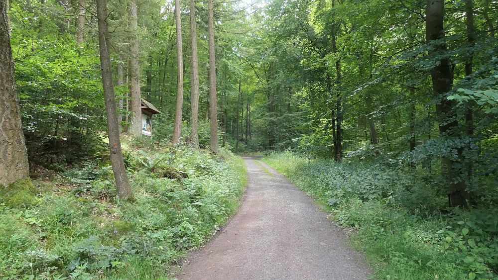 Westerwaldvariante
