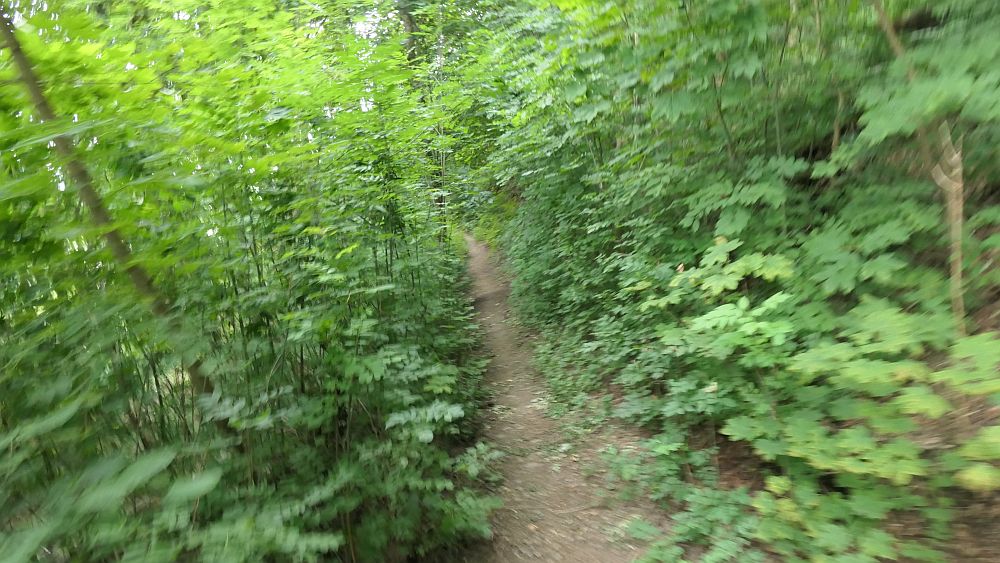 Westerwaldvariante