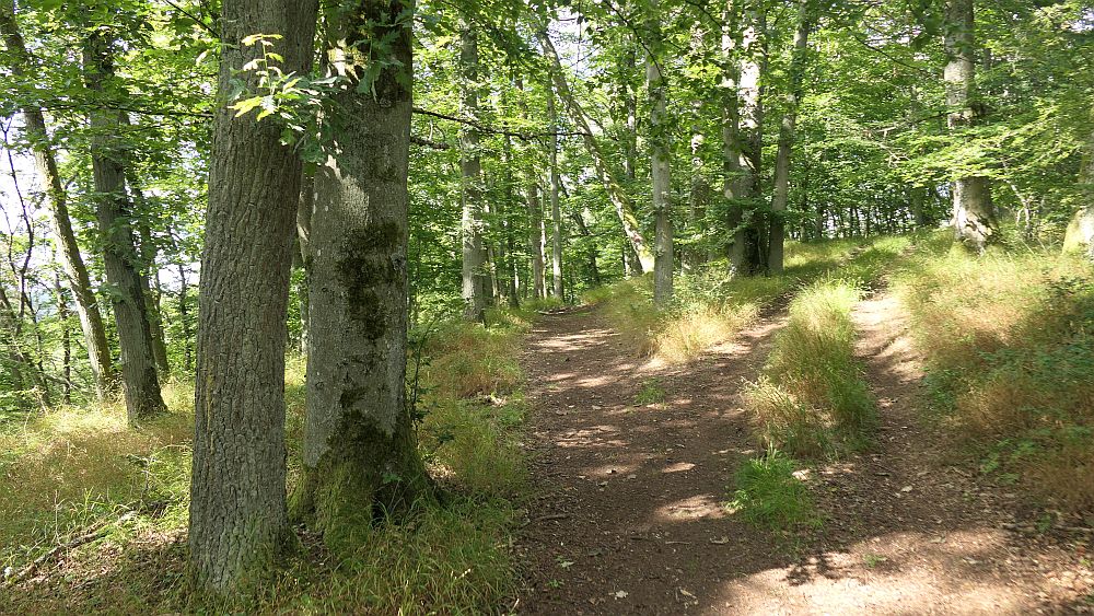 Westerwaldvariante