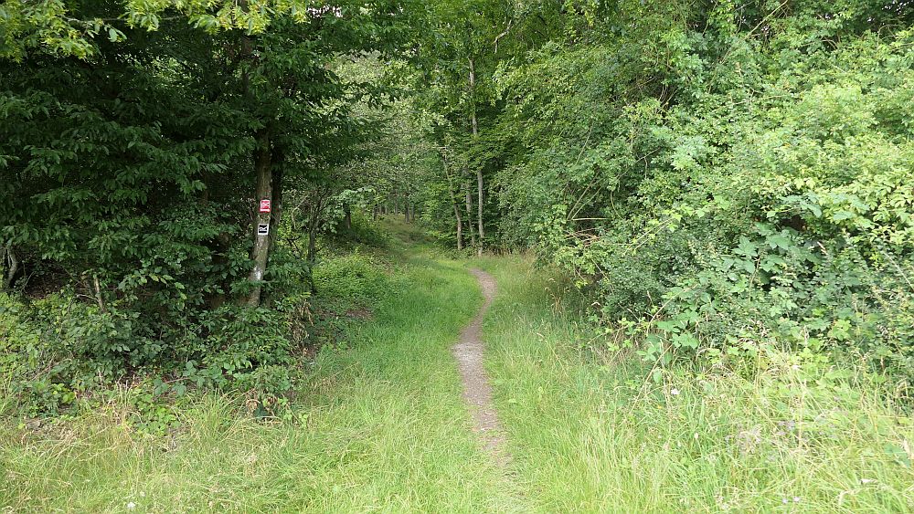 Westerwaldvariante