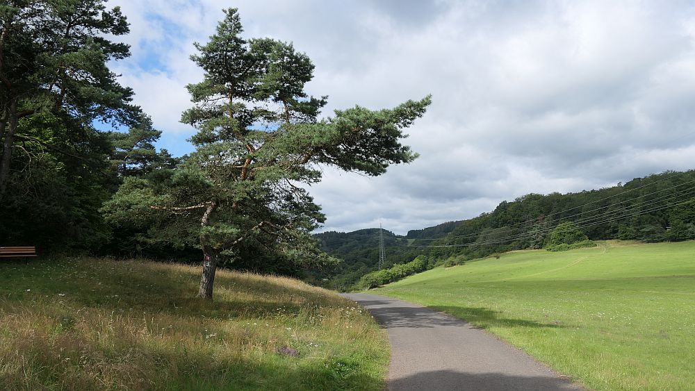 Westerwaldvariante
