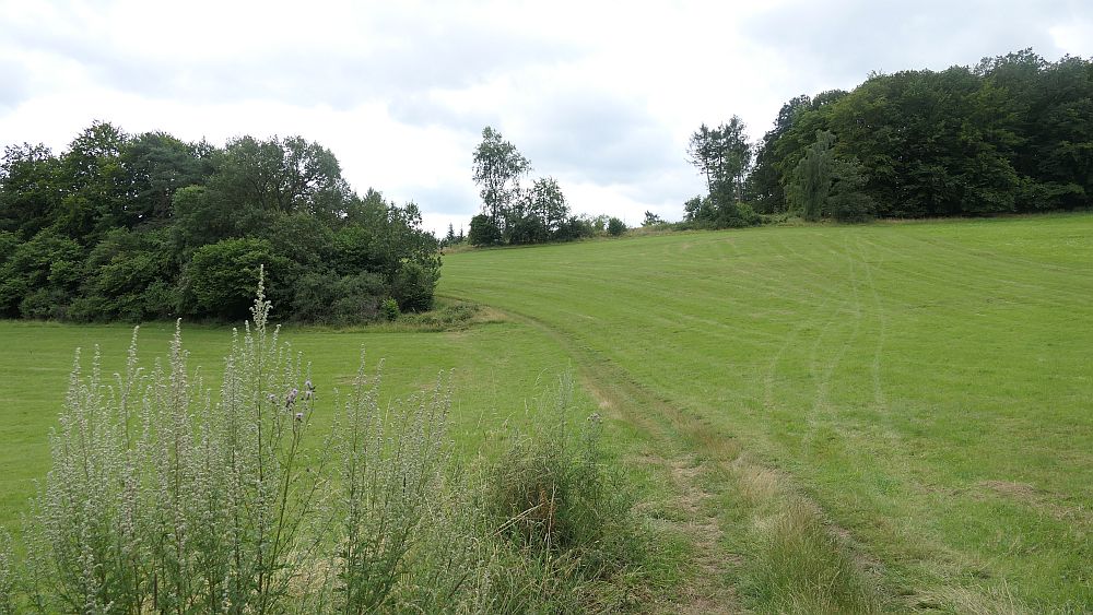 Westerwaldvariante