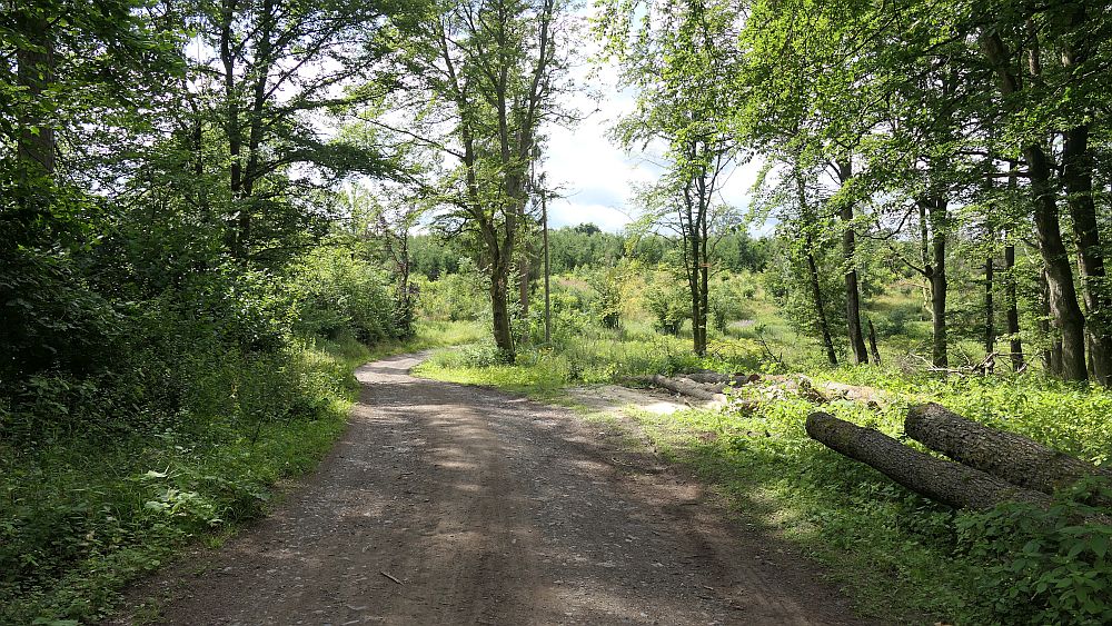 Westerwaldvariante