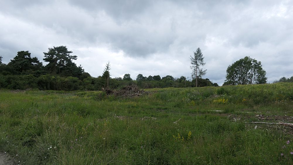 Westerwaldvariante