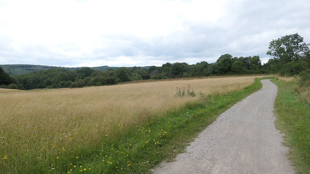 Westerwaldvariante