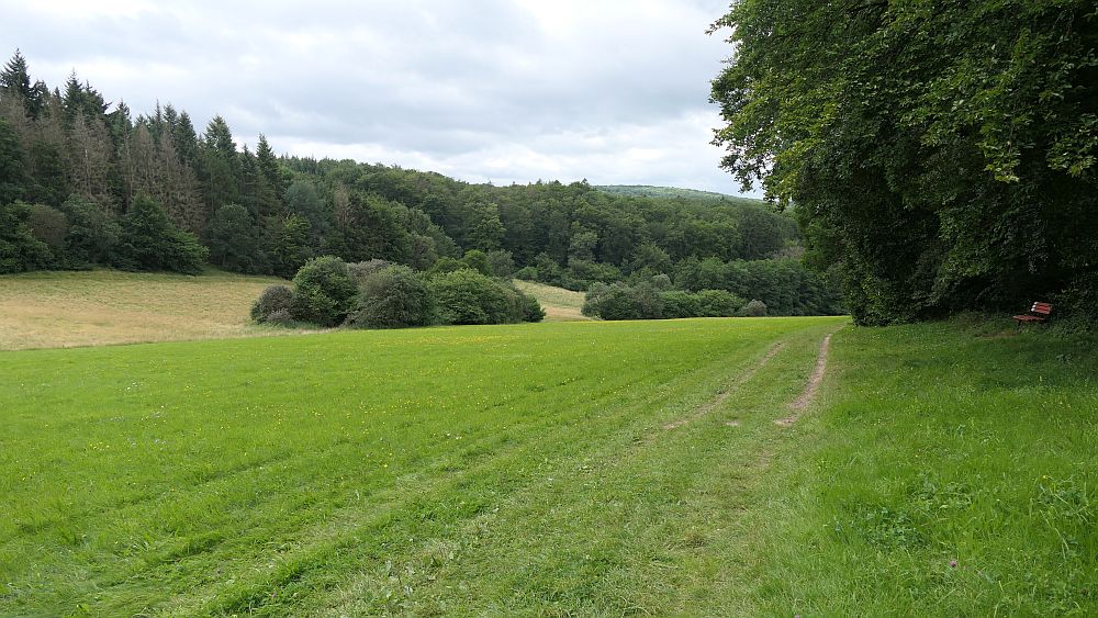 Westerwaldvariante
